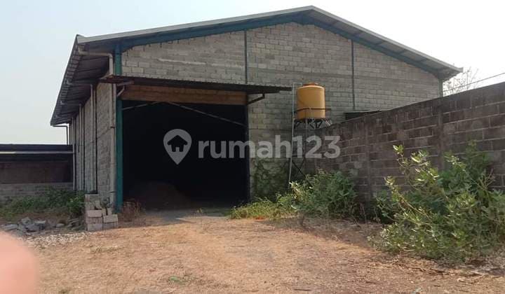 Warehouse for Rent/Sale - Ngoro - Mojokerto