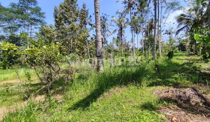 60 Are Tegallalang Land Suitable for Eco Resort