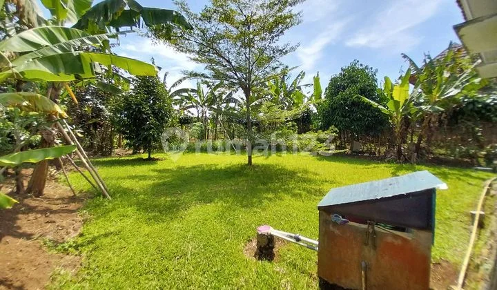 Dijual Rumah Vila Halaman Luas Daerah Sejuk Asri Aman Bebas Banjir Kebun Buah Halaman Luas