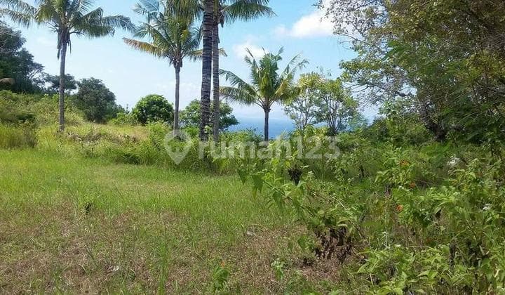 Kavling Nusa Penida Bali (Ukuran 8.470 m)