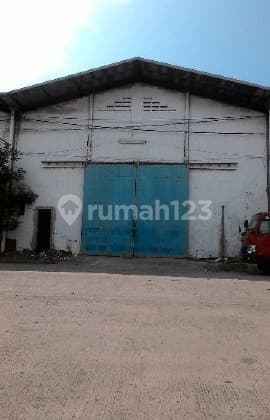 Gudang Kapuk Kamal (Ukuran 12x25 m)
