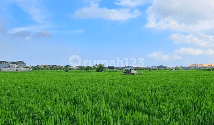Tanah Strategis Soputan Dekat Mahendradatta Denpasar