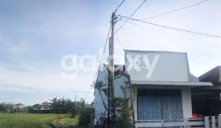 Rice Field View House in Arjuna Dalung Badung, Bali
