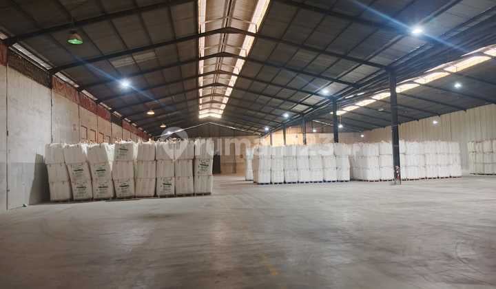 Disewa Gudang Masih Dalam Keadaan Tersewa Sampai 1Juli 2026Lokasi Mantap Bebas Banjit dan Siap Huni