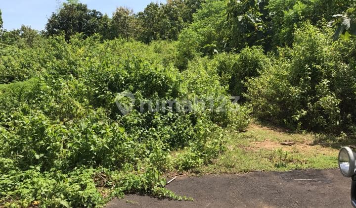 Tanah View Laut Pecatu Uluwatu Bali , Hanya 40 mnt ke bandara, 15 Mnt ke Pantai Bingin, dekat GWK