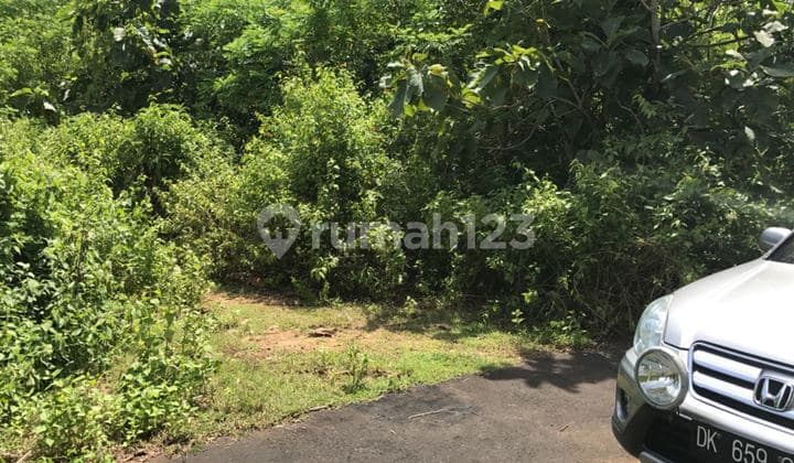 Sea View Land in Pecatu, Uluwatu, Bali, near GWK, Suitable for Villas & Investment