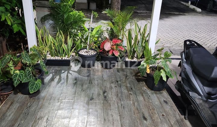 Green Lake City Cluster Amerika Unit Langka