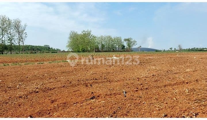 Tanah MURAH 21 hectare SHM Lampung Tengah