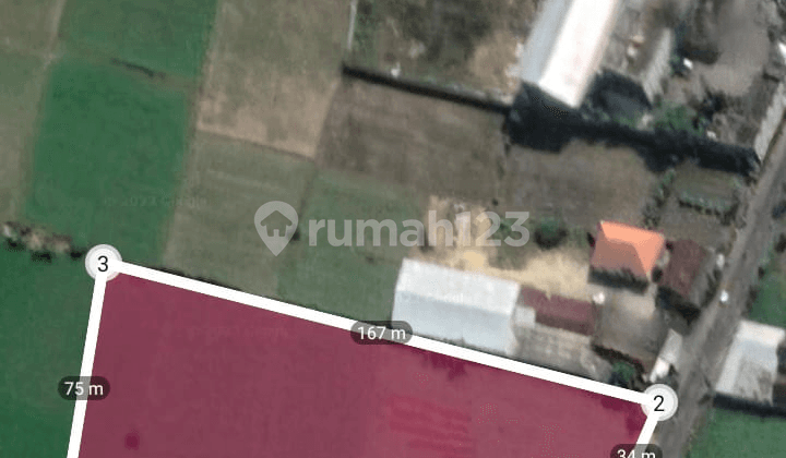 Tanah nol jalan area Balongpanggang Gresik cocok untuk gudang, pabrik, perumahan