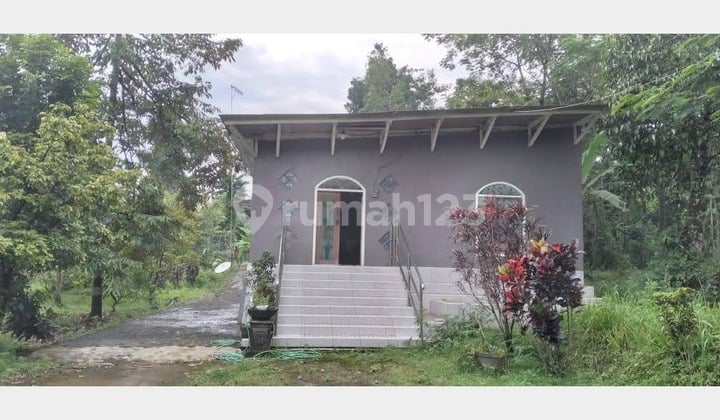 Villa Lahan Luas di Kaki Gunung Taman Dayu Prigen Pasuruan - Dekat Pos Pendakian, Cocok Peternakan & Investasi