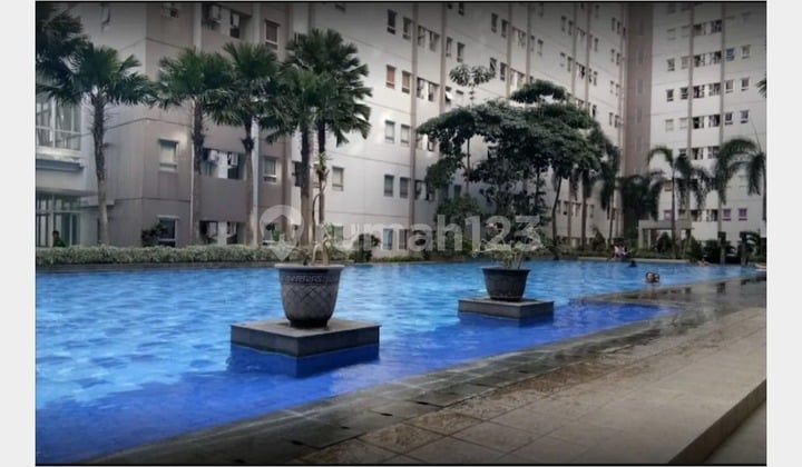 Puncak Kertajaya 2BR Apartemen lantai pool