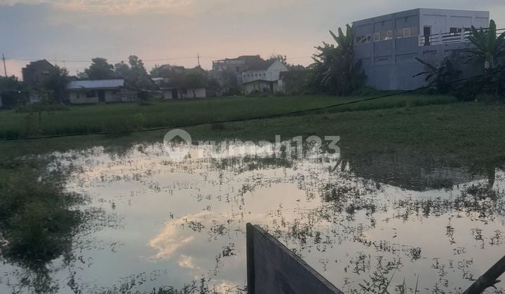 Cocok Untuk Smua Bisnis
