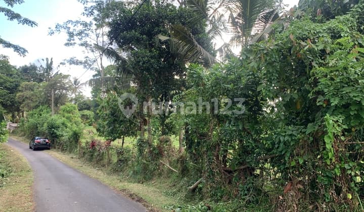 Dijual Tanah Banjar Tireman Desa Bengkel Sari , Selemadeg Barat , Tabanan Bali