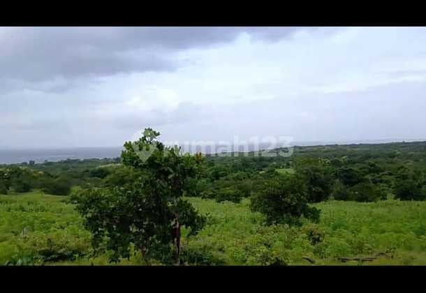 For Sale Land Sumbawa