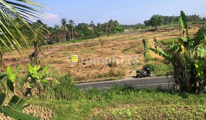 Di Jual Tanah Bisa Dibangun Villa Dan Tempat Sangat Strategis