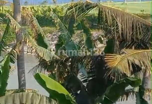 For Sale Saba Beach Plot Land