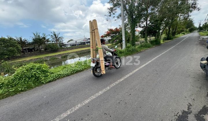 Tanah / Kavling Di Taman Pacing Timur, Pemogan (for Sale)