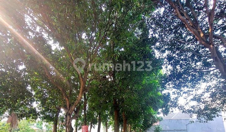 Kavling Dijual Di Anggrek Loka Bsd City