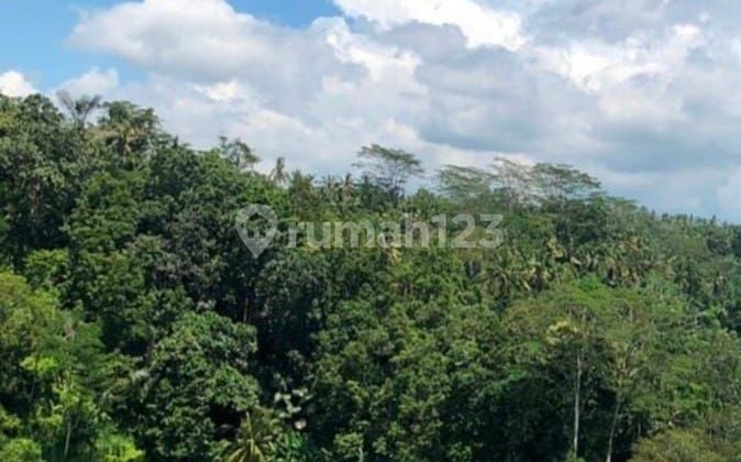 Land For Lease - Prime Location In Pujung, Sebatu, Tegallalang, Ubud