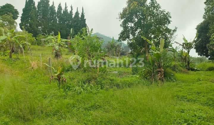 FOR SALE Land with Sea & Hill View - Munduk Buleleng | Main Road Side, Near Tamblingan Lake
