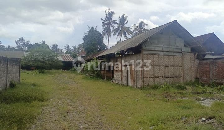 Dijual Tanah Strategis Bekas Gudang - Jalan Raya Denpasar Gilimanuk (Banyubiru, Bali)
