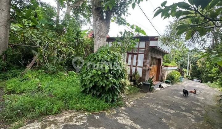 For Sale: Strategic Land - Pecatu, Uluwatu Near Alila & Savaya, Freehold Title