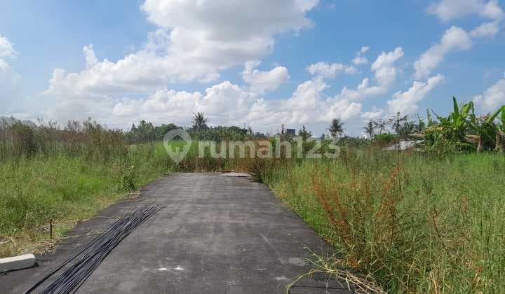 Premium Land for Sale in Kedunggu, Tabanan - Near the Beach