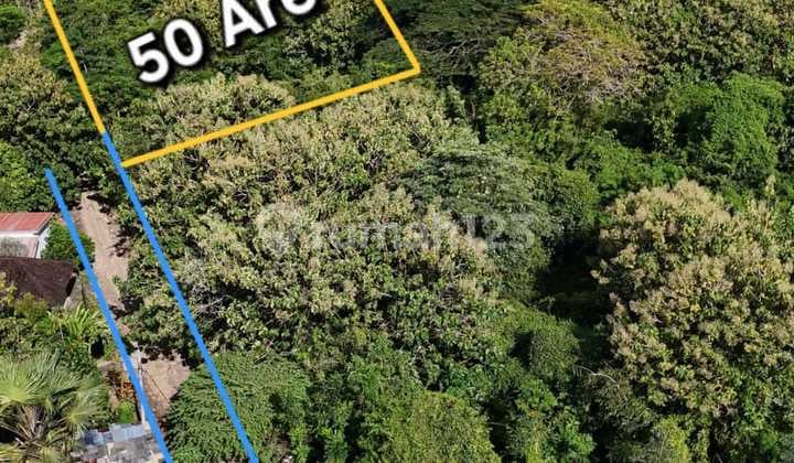For Sale - Lahan 50 Are di Pecatu