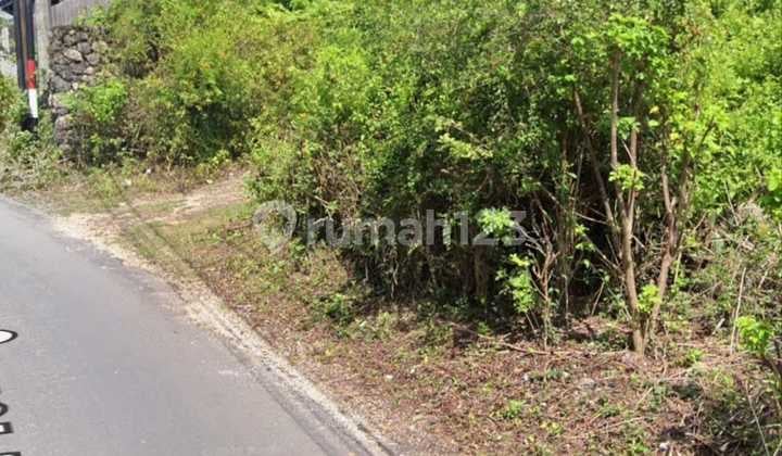 Super Deal Freehold Land 45 Are in Kutuh - 6 Meter Access, Yellow Zone, Ideal for Housing & Long-Term Investment