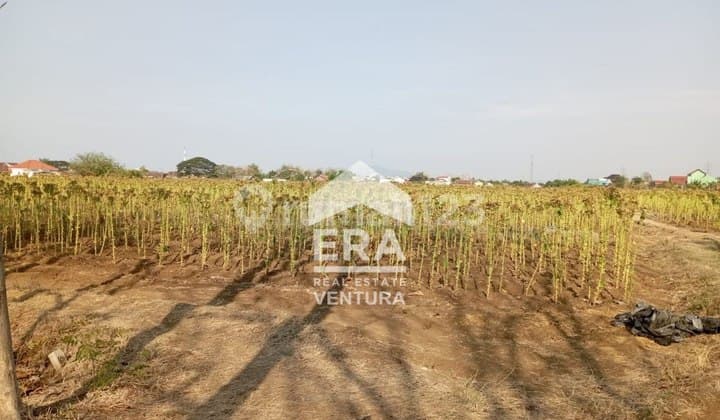 F033 Tanah Luas Cocok Untuk Dibangun Ruko Atau Sebagainya