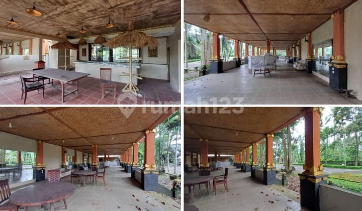 Tanah 81 Are + Bonus Bangunan Ex Villa Tegalalang Gianyar