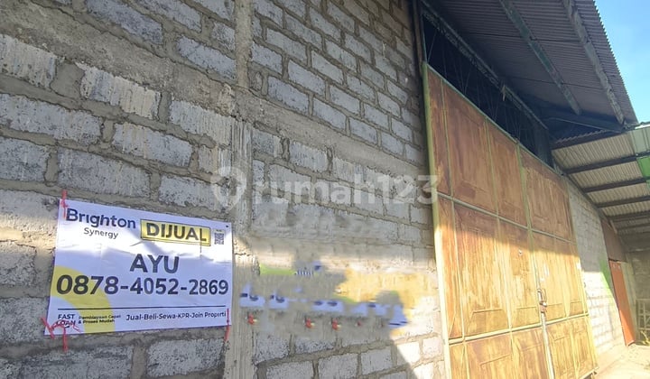 Gudang Disewakan Di Renon