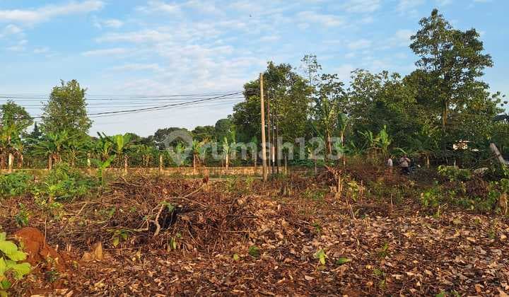 Dimulai 1 Jt- An Murah Tanah Kavling SHM 10 Menit Stasiun Jatake Cisauk