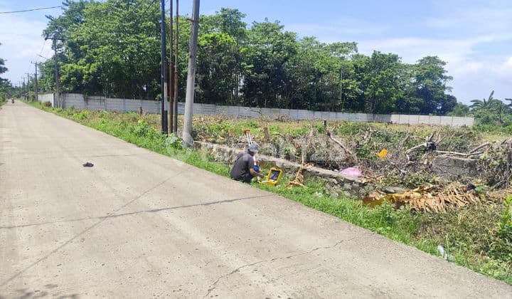 Tanah Kavling Murah Cisauk, Bebas Banjir, Akses Dekat Dengan Stasiun Cicayur
