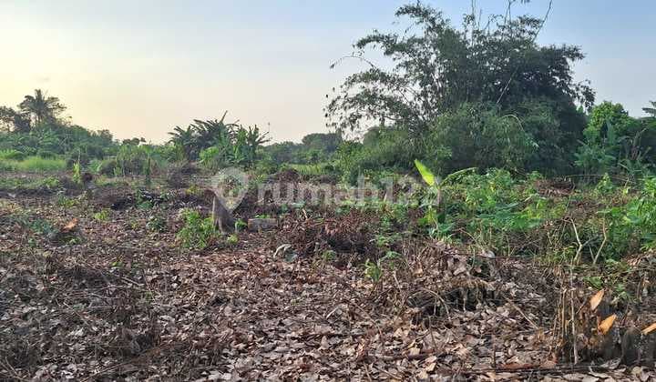 Spesial Harga Murah Dimulai 1-Jtaan Kavling SHM di Cisauk Tangerang