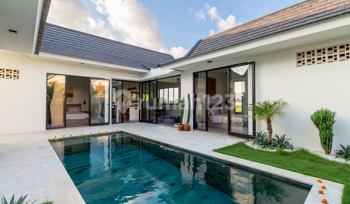 For Rent Modern Villa in Cemagi, rice field view