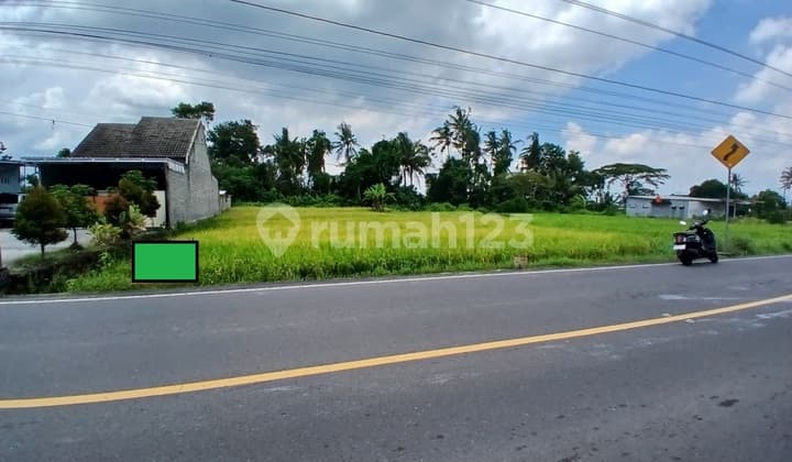 Tanah Sawah Lokasi Strategis di Jalan Cangkringan - Kalasan Sleman