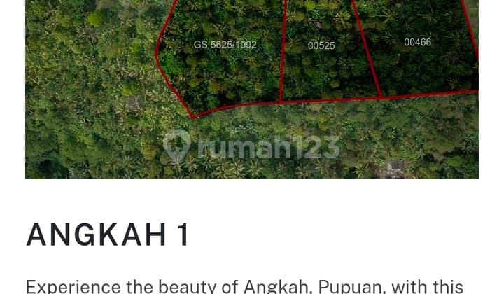 Premiun Land For Sale In Pupuan, Tabanan, Bali.