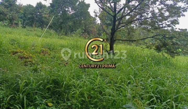 Kavling Luas Cocok untuk Perumahan Nempel Bintaro Sektor 9