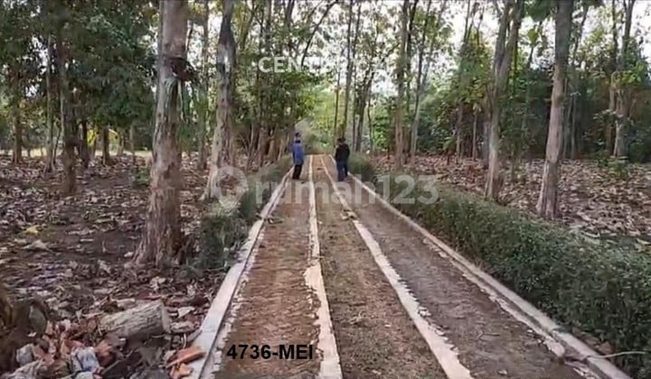 Dijual Kavling Strategis Harga Menarik Di Ciseeng Bogor