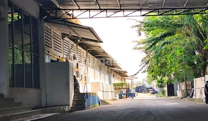 Kapuk Kamal Raya