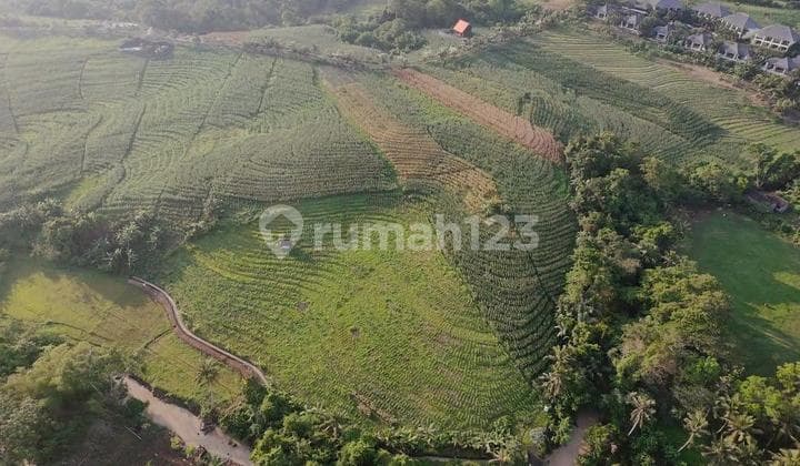 Tanah Kawasan Pariwisata Soka, Luas Strategis Dkt Pantai, Tabanan