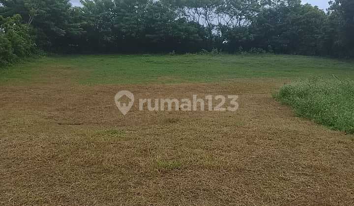 Tanah Los Pantai Strategis Luas di Negara, Jembrana