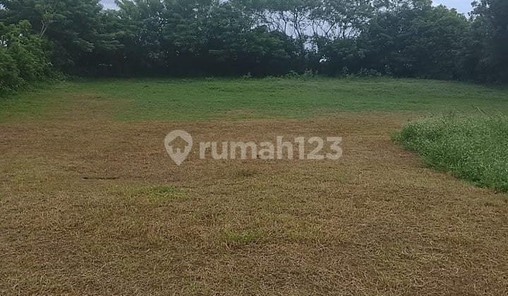 Tanah Los Pantai Strategis Luas di Negara, Jembrana