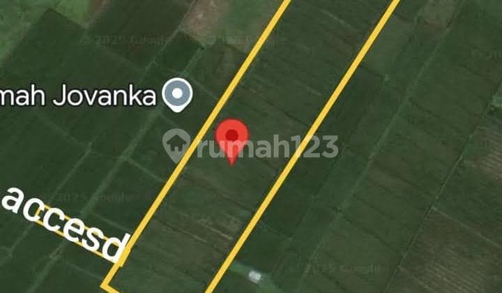 Tanah Strategis Zona Pink di Kedungu, Tabanan