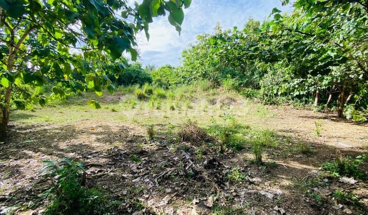 Tanah Luas View Laut Terbuka Strategis di Bali