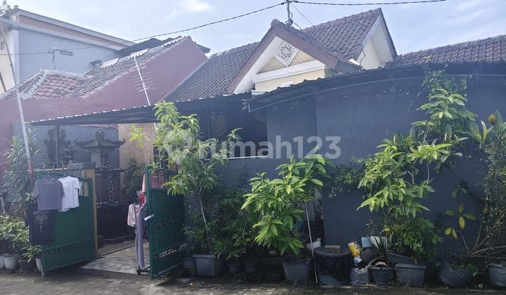 Rumah Hunian Strategis Siap Huni Sudah Renovasi di Gatsu Denpasar