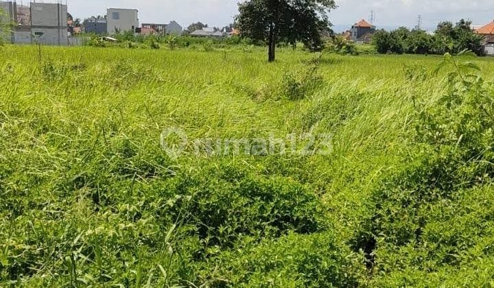 Land for Sale in Kedungu, Tabanan