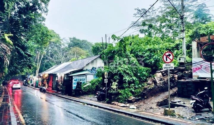 Dijual Tanah Gianyar