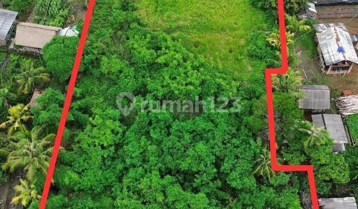 Dijual Tanah di Jl. Utama Selukat, Gianyar